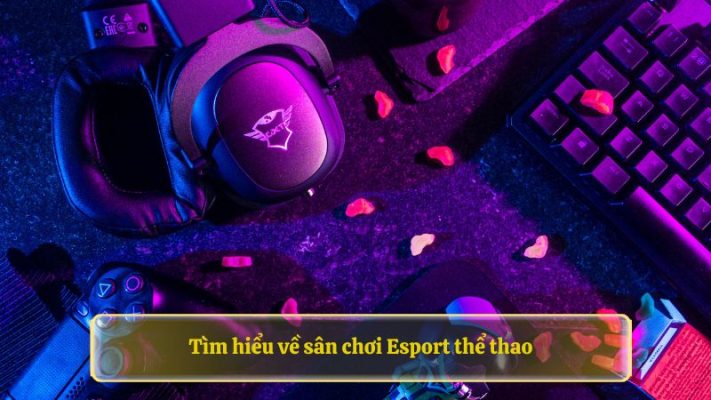 Tìm hiểu về sân chơi Esport thể thao